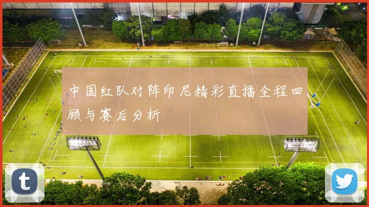中国红队对阵印尼精彩直播全程回顾与赛后分析