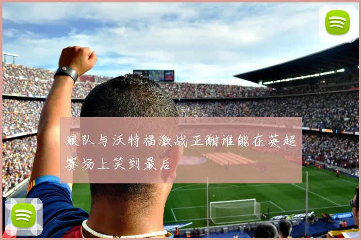 狼队与沃特福激战正酣谁能在英超赛场上笑到最后