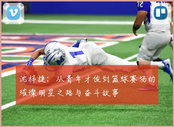 沈梓捷：从青年才俊到篮球赛场的璀璨明星之路与奋斗故事