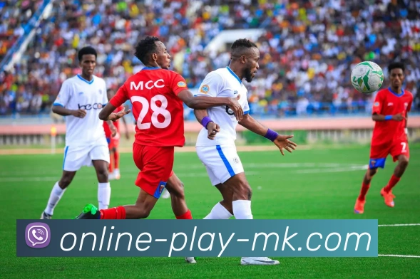奖项证书